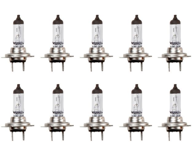 Picture of H7 Bulbs Trade Pack x10